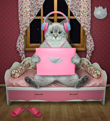 An ashen cat in earphones sits and works with a pink laptop in a sofa near a window at home.