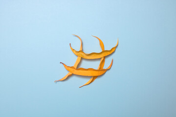 Hashtag sign made of dry leaves on a pastel blue background. Minimal social media concept.