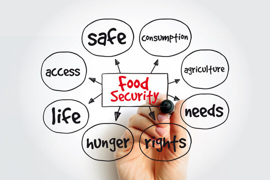 Food Security mind map with marker, concept for presentations and reports