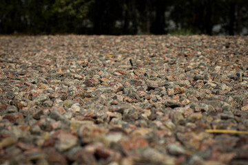 autumn leaves on the ground