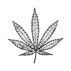 Monochrome cannabis leaf vector illustration