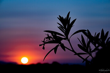 Obraz premium Smokey Sunset in Santa Ynez