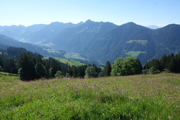 Obraz premium Auf dem Alpwegkopf