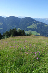 Obraz premium Auf dem Alpwegkopf