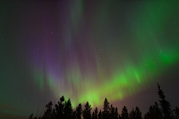 Aurore bor&eacute;ale