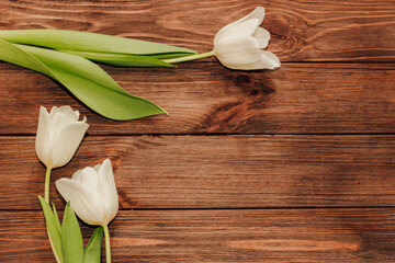 Bouquet of white tulips on a wooden background, space for text.
