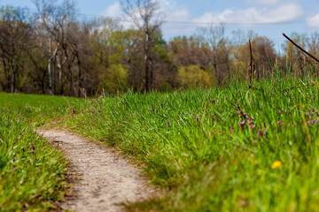 Hiking trail thought the woods