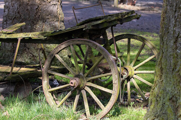 Fototapeta na wymiar Study of Mossy Antique Flower Wagon in Disrepair
