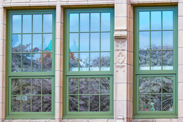 Fototapeta na wymiar Cherry Blossoms Reflected in Windows on the University of Washington Campus in Seattle