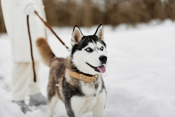 woman with dog outdoor games snow fun travel winter holidays