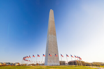 Obraz premium Sunny view of the Washington Monument