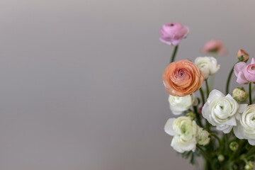 Obraz na płótnie Canvas Ranunculus flowers in a vase. Place for text. Grey background