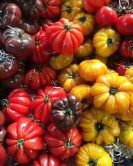 Colorful heritage heirloom  tomatoes. Photo made at Borough market in London