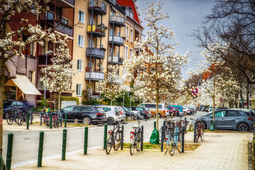 Fototapeta na wymiar Magnolienbäume während der Blüte in der Stadt