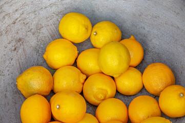 Zitronen, Keramikschale