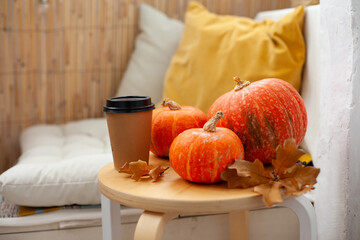 Paper coffee cup with plastic lid with seasonal autumn coffee drink near orange ripe fresh pumpkins for fall Halloween season celebration. Special coffee drink at coffee house or at home