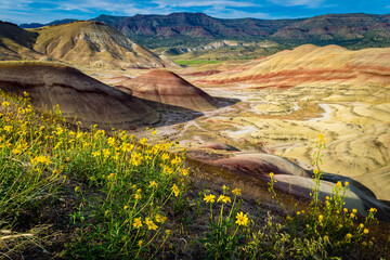 landscape with flowers and badlands