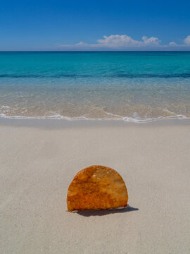 Johnnys cake or yaniqueque, a fried bread made in the Dominican Republic, the bread is stuck in the sand