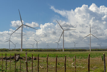 Wind turbines, Wind energy in a wind farm in the Dominican Republic, renewable energy, clean energy.