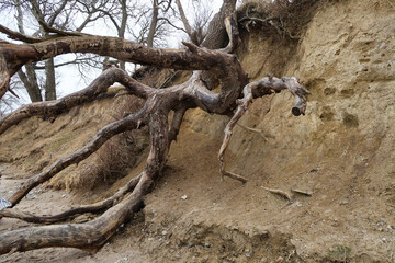 natural cliffs with overturned tree