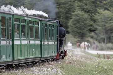 Mit dem südlichsten Zug zum Ende der Welt auf Feuerland, die Dampflok zieht qualmend die grünen Wagons über die alten Bahngleise