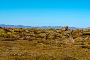 Hier lebt das verborgene Volk, die Elfen und Feen, in Island