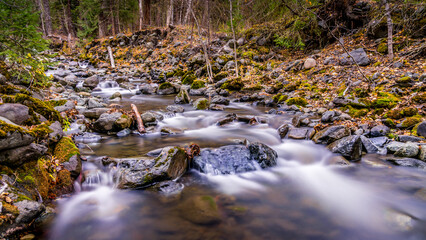 Fall Colors at Long Exposure of Mcgillivray Creek near the town of Whitecroft in British Columbia, Canada