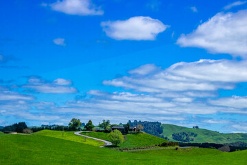 Fototapeta na wymiar A drive in the countryside. Matamata, Waikato, New Zealand