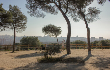 trees in the morning