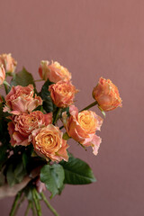 Bright orange peony rose country spirit louise on a terracotta background. Place for text