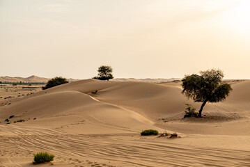 sundown in the arabian desert