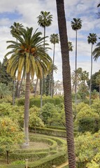 Obraz premium jardin et pavillon à Séville en Andalousie détails de l'architecture arabo-andalouse