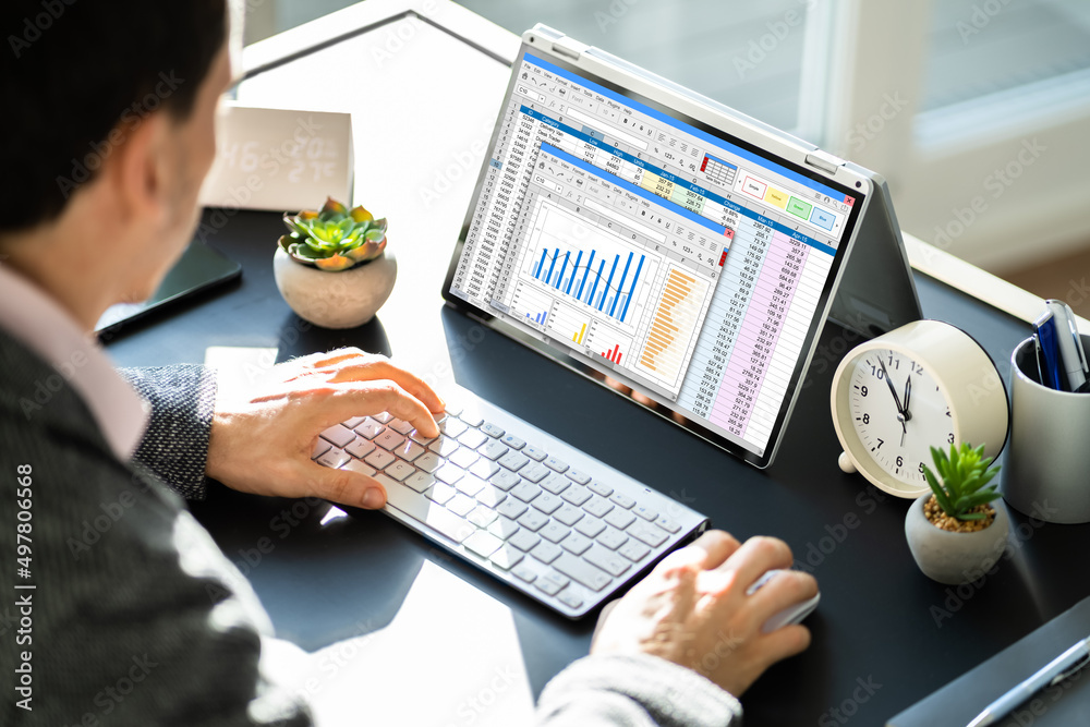 Aufkleber electronic spreadsheet analyst or auditor using software