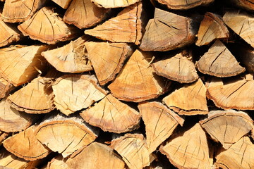 Fototapeta premium 冬の暖炉ストーブの燃料 焚き木のクヌギの木 Winter fireplace stove fuel firewood oak tree 