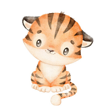 Digitally drawn illustration of a cute cartoon tiger isolated on a white background. Little cute watercolor animals.