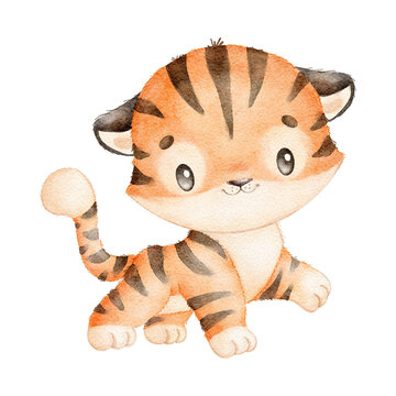 Digital watercolor. Digitally drawn illustration of a cute cartoon tiger isolated on a white background. Little cute watercolor animals.