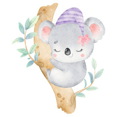 Digital watercolor. Digitally drawn illustration of cute cartoon koala sleeping isolated on white background. Little cute watercolor animals. © Bonbonny