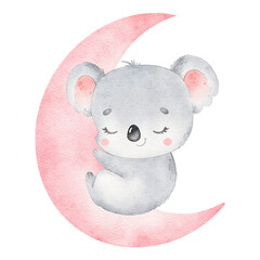 Digital watercolor. Digitally drawn illustration of cute cartoon koala sleeping isolated on white background. Little cute watercolor animals. © Bonbonny