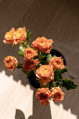 Bright peony orange country spirit Louise roses. Roses in the sun