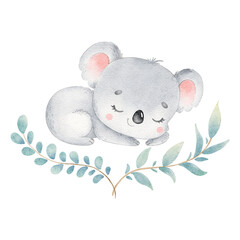 Digital watercolor. Digitally drawn illustration of cute cartoon koala sleeping isolated on white background. Little cute watercolor animals. © Bonbonny