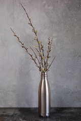 pussy willow bouquet in a gray metal bottle on a gray  background