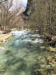 Naklejka premium river in the forest