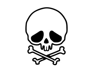 skull pirat funny