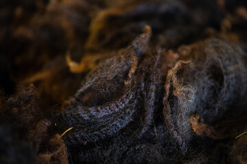 Raw Wool Dark