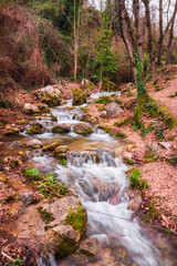 A torrent of silky water runs down a mountain trail after some rains.