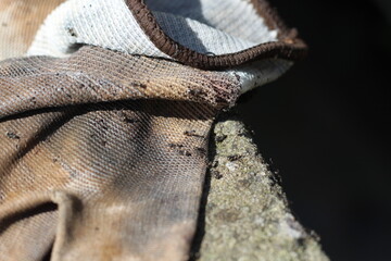 used gloves used by farmers for gardening that are already very dirty by the soil