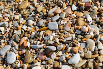 Wet stones on the beach