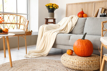 Comfortable sofa with plaid and pumpkins in room