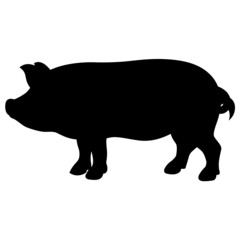 Guileless Pig