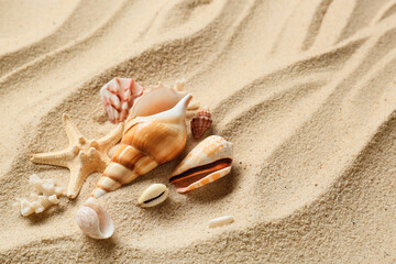 Starfish and different sea shells on beach sand